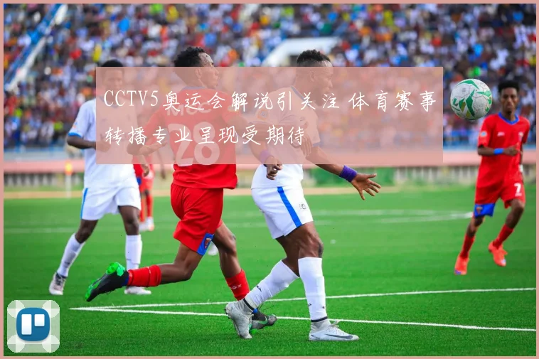 CCTV5奥运会解说引关注 体育赛事转播专业呈现受期待