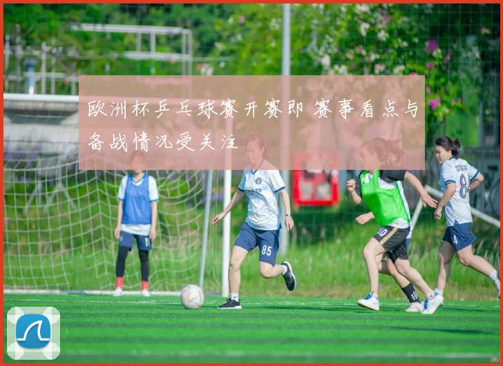 欧洲杯乒乓球赛开赛即 赛事看点与备战情况受关注