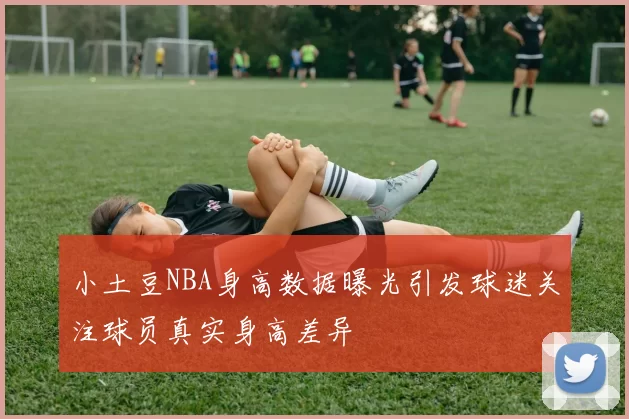 小土豆NBA身高数据曝光引发球迷关注球员真实身高差异