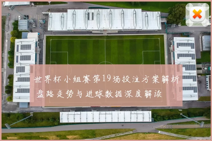 世界杯小组赛第19场投注方案解析 盘路走势与进球数据深度解读
