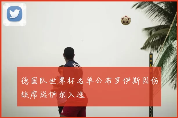 德国队世界杯名单公布罗伊斯因伤缺席诺伊尔入选