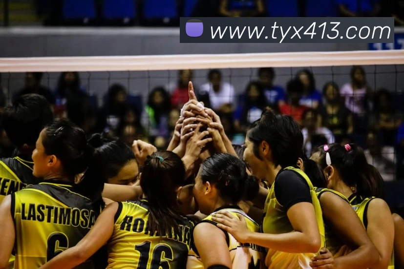 mksports体育 - mk(中国)一站式服务官方网站服务体系